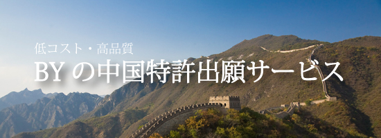 Chinese intellectual property